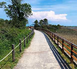 Radfahren Bibione