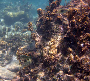 Underwater, fast am Hotelbeach