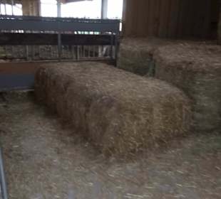 Erlebnisbauernhof und Wildgehege