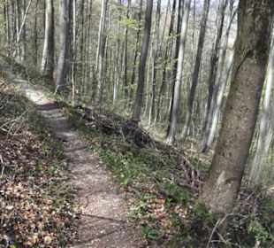 Wanderweg Hochgehkämpft