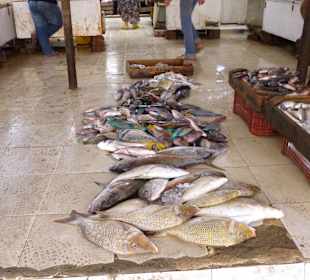 Selten Fisch sorten