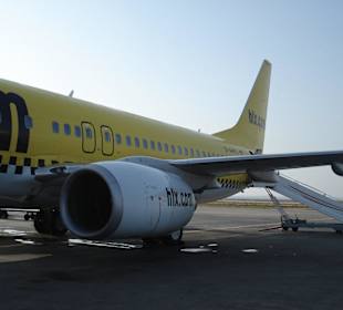 Mein "Vogel" nachhause