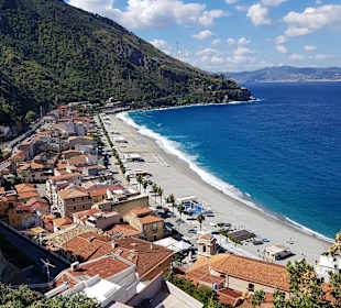 Strand Scilla