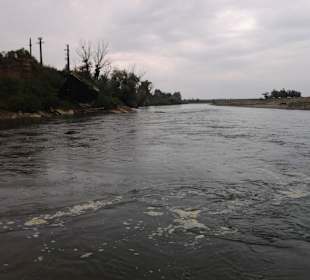 The wild side of the river