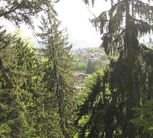 Herrlicher Ausblick auf halber Höhe