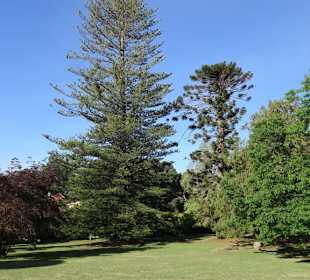 Eindrücke vom Rundgang durch Blandy´s Garden