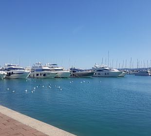 Stadtrundgang Sukosan