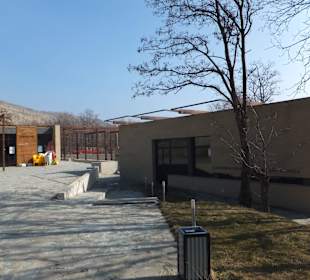 Muzeum przy kompleksie.