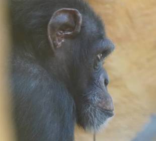 Zoo Arche Noah Grömitz