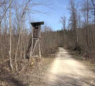 Premiumwanderweg "hochgeblickt"
