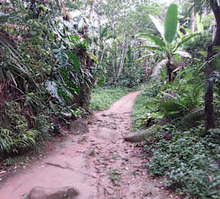 Cachoeira da Pedra Branca