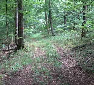 Tour entlang der Traifelbergfelsen