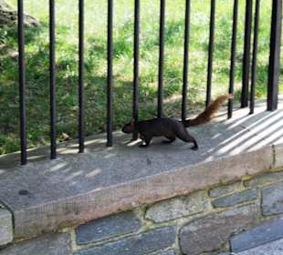 Ungehinderter Zugang