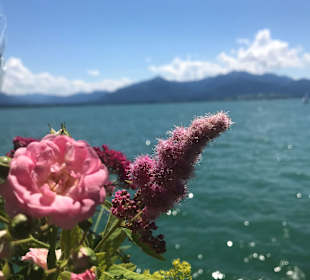 Chiemsee
