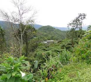 Wildlife Expeditions