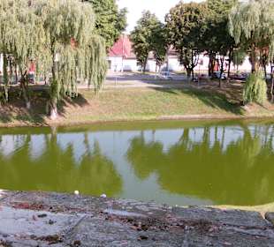 Făgăraș/Fogarasch