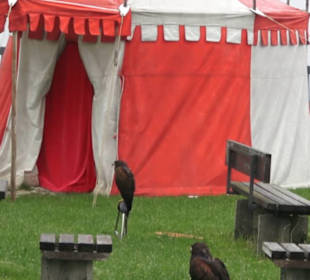 Burgruine Hohenneuffen