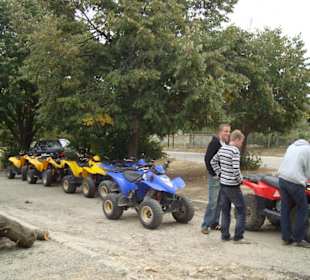Die Quads mit denen man fährt