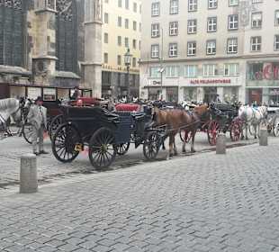 Stadtrundfahrt Wien