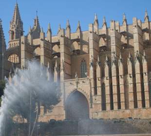 Palma