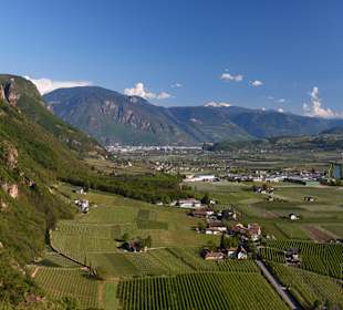 Ausblick