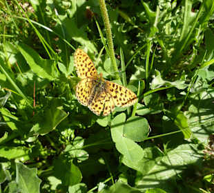 Wanderparadies Taurerwirt