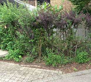 Friedhof Unterrombach