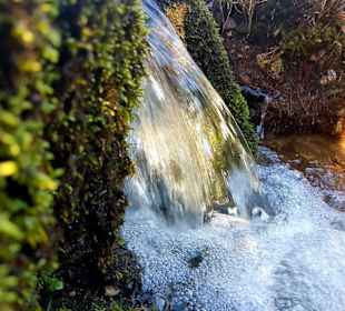 Wandern Bannwald Baiersbronn