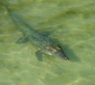 Santi Tour - Sian Kaan