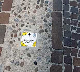 Im Boden eingearbeitet 