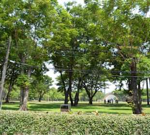 Lumphini Park