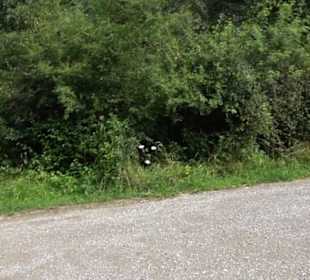 Wanderparkplatz Pfaffenwiesle Zimmern