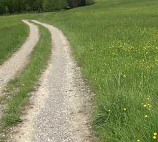 Wandertour Feuchtgebiet Schönbuch