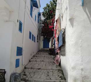 Ausflug Sidi Bou Said