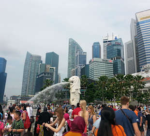 Der Merlion