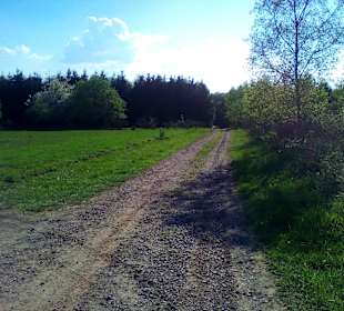 Panoramaweg Sankt Wendeler Land in Nonnweiler