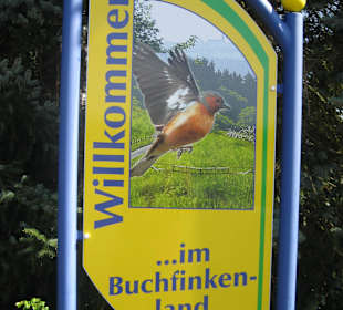 Willkommen im Buchfinkenland