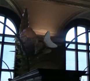 Naturhistorisches Museum