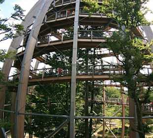 Baumwipfelpfad in Neuschönau