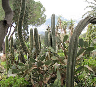 Auf dem Weg zu Arco Naturale