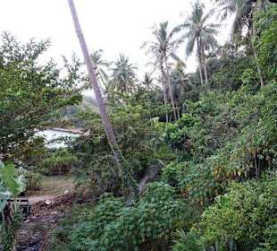 Aussicht vom Restaurant