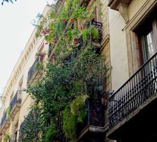 Impressionen aus dem Barri Gòtic