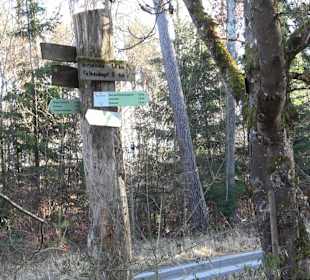 Wanderung rund um den Ochsenweiher