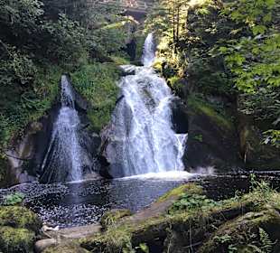 Triberger Wasserfälle