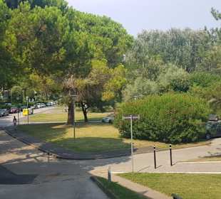 Blick zum Park Lido dei Pini
