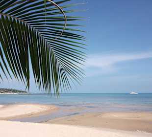 Toller Strand