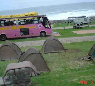 Tsitsikamma National Park