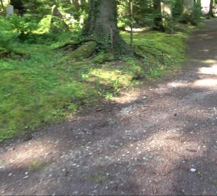 Waldfriedhof Altensteig