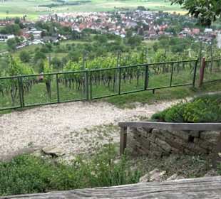 Wanderweg Märchensee Runde