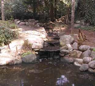 Weltvogelpark Walsrode